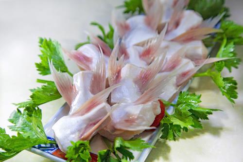 巴沙魚(yú)翅